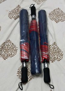 Foldable Umbrella