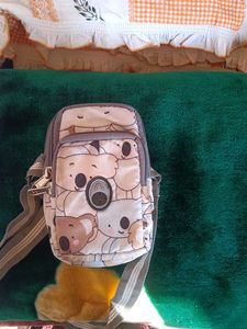 Pouch