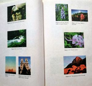 Books for Photography Professionals