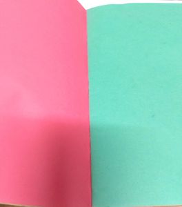 Notebook with Graph &amp; Lined Paper