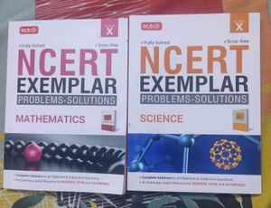 Class 10 Maths And Science Exemplar