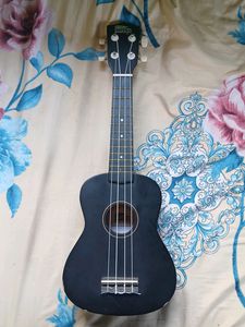 Intern Black Ukulele Tell Your Price And Take It