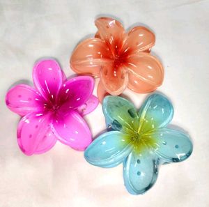 Colorful Flower Hair Clips