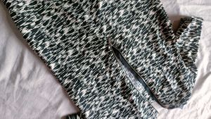 ZARA shift Dress New With Tag