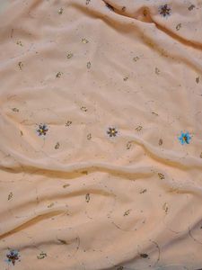 Lite Orange Chumki And Handwork Saree