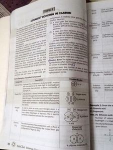 Class 10 Science Examplar And Term 2 Refrence Book