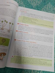 Mtg Fingertips Biology