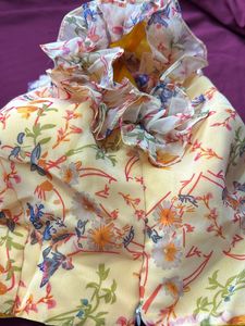Designer Blouse