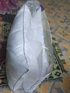 Portico Celebration Pillow pack of 2