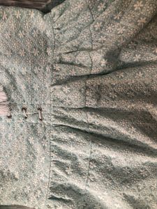 Blue chikankari Top