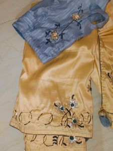 Hand Work Peach Colour Saree With Blouse