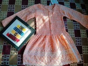 Chikankari Top 🧡
