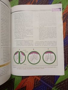 Human Embryology Book