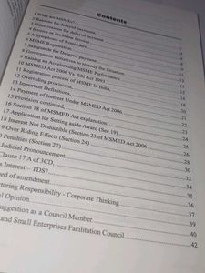 Payment Paradox Resolved MSMEs Book