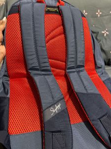 Stylish Navy Backpack Skybags
