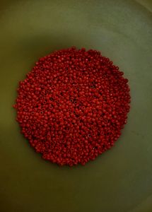 5 Gm Each Multicolour Small Seed Beads
