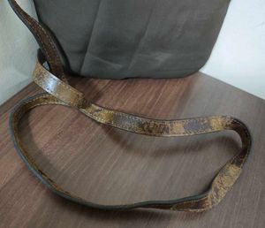 Authentic Longchamp Sling Bag