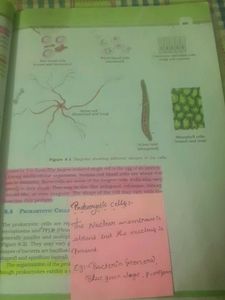 NCERT