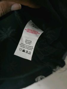 Palm Tree Print Shirt