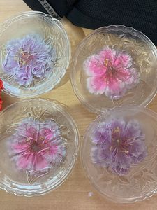 Glass Plates🥰