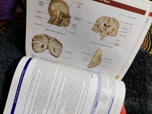 Combo BD CHAURASIA ANATOMY TEXTBOOK PART - 2&amp;3