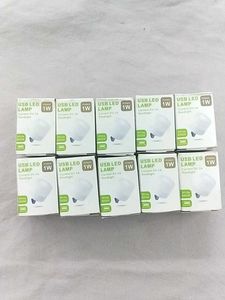 10Pcs1Watt USB LED LAMP