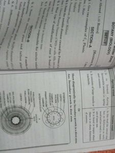 Examination Master Biology