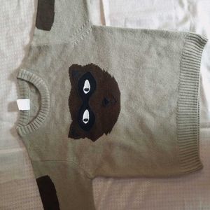 Unique Raccoon Graphic Sweater