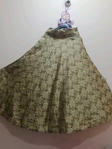 Skirt Choli