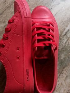 Boys Shoes Or Mens Shoe
