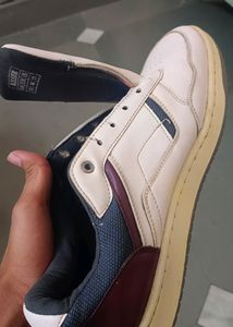 Killer Branded Sneakers