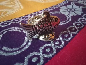 Fish Keychain  premium range   aluminium metal