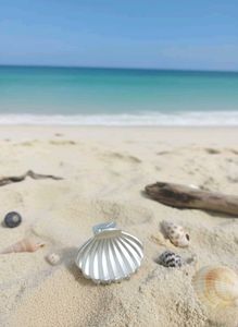 Metal Shell Hair Claw Clip