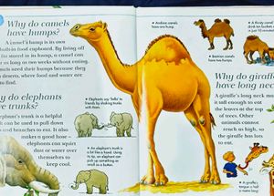Camels Have Hump/ I Wonder Why Children Book