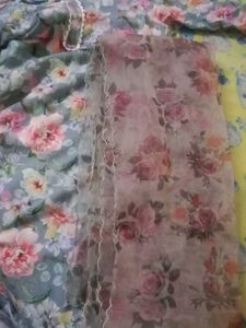 Kurta And Organza Duppata