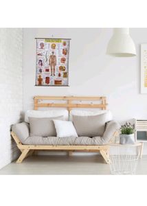 Chart Of Human Physiology