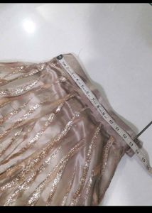 Feathered Lehenga Choli