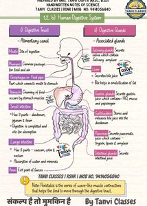 Class 10th Science Handwritten Colourful Notes