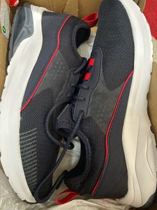 Brand New Puma Red Bull Edition Shoes