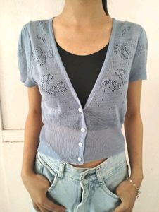 Net Crop Top