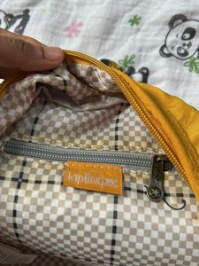 Thrifted KIPLING Bag