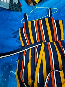 Strips Lining Coloured Dress