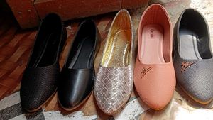 Bellies Collection