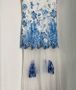 Frozen Maxi Embroided Dress