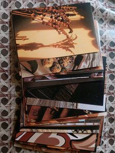 Brown Wallpapers
