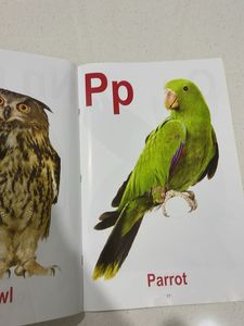 Alphabet Picture Book