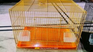 Folding Cage Pijara