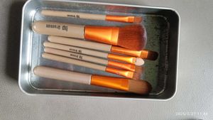 Makeup Brush