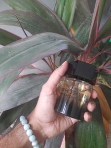 YSL la Nuit D&#39;lomme 100ml 🖤