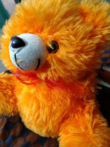 TEDDY